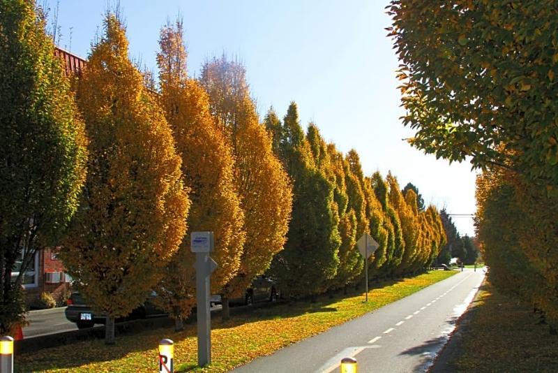Red Lion Inn And Suites Victoria Saanich ภายนอก รูปภาพ